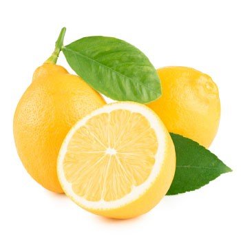 Limon Besleme Programı