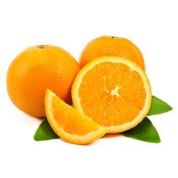 Portakal Besleme Programı