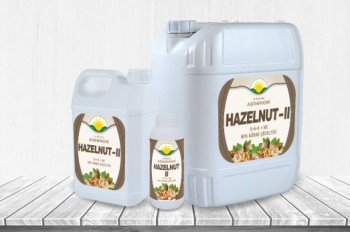 Agronom Hazelnut II (Fındık 2)