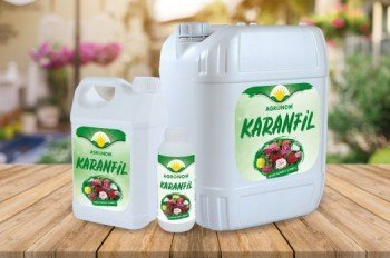 Agronom Karanfil