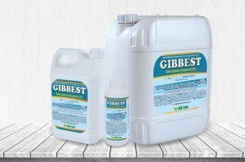 Agronom Gibbest 20 SL